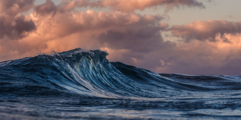 Crisis Prevention Focus